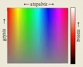 AGŠ spalvų modelis